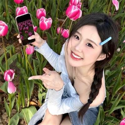 凤凰城故事
