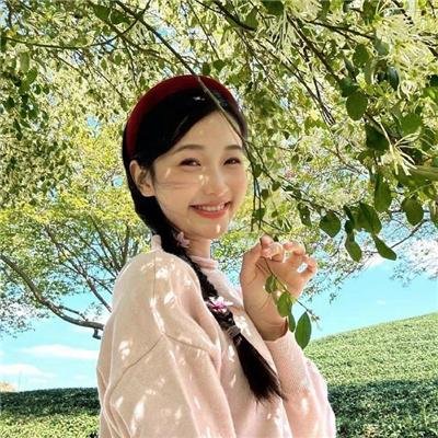 戴洛奇小镇第一季